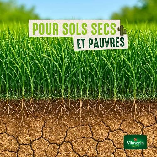 Detalle de Vilmorin Gazon Terrain Sec, Vert, 1 kg