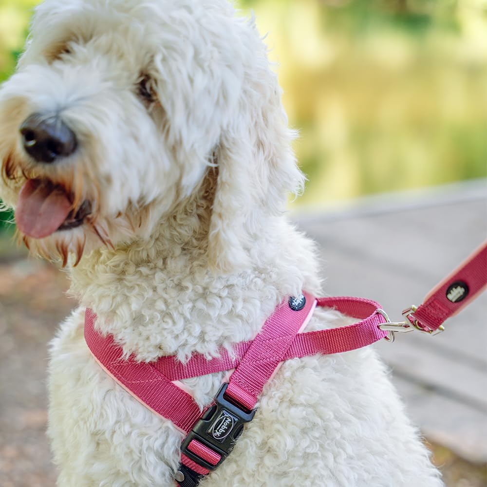 Thumbnail 1 de Nobby Norwegergeschirr Classic Preno in Neon Grün/Grau – Brust-, Hals- und Schultergeschirr für L: 68–85 cm