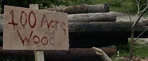 Thumbnail 5 de Winnie the Pooh: Blood and Honey – Horror-Neuinterpretation von Plaion Pictures