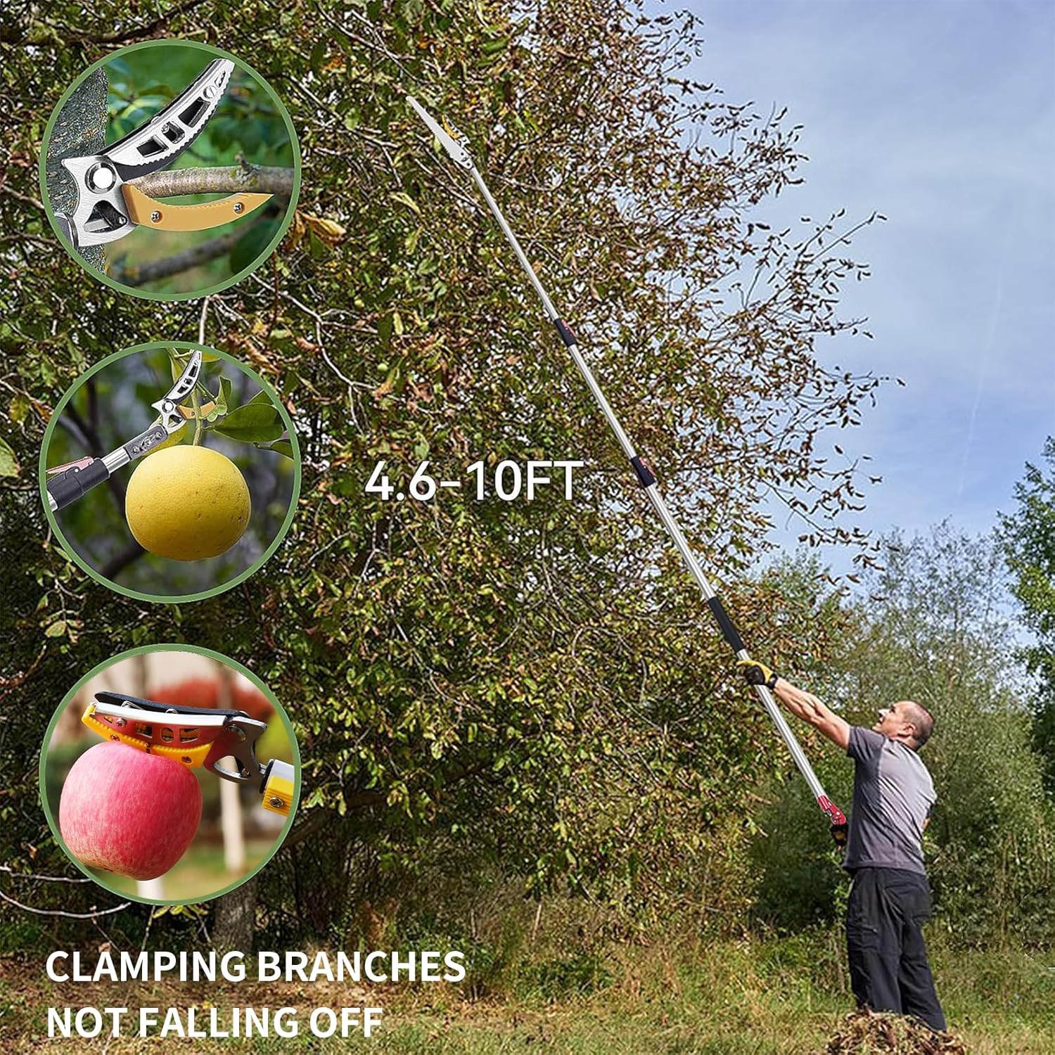 Thumbnail 5 de FLORA GUARD 1.4–3m extendable long-reach pruner pole saw (telescopic fruit picker)