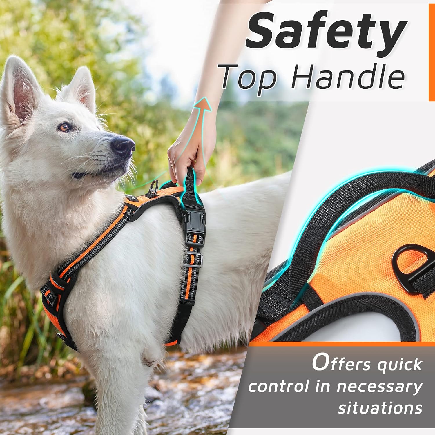 Detalle de Eagloo Small Dog Harness with Front-Clip No-Pull Design (Orange, Size S)