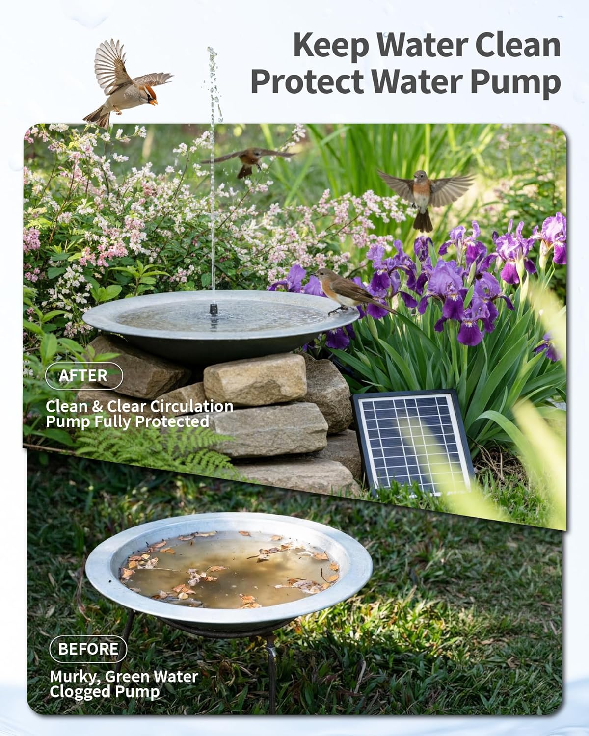 Thumbnail 2 de POPOSOAP Solar Water Fountain with Filter (6.5W) for small ponds, bird baths & fish tanks