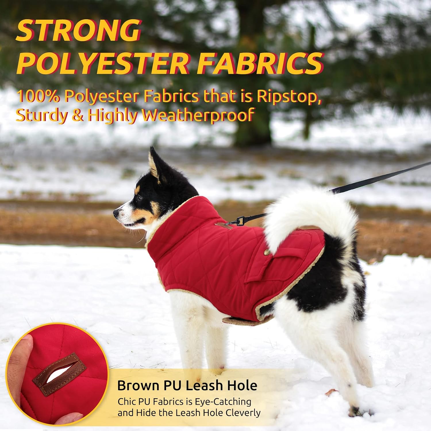 Thumbnail 2 de Queenmore Winter Dog Coat, Medium