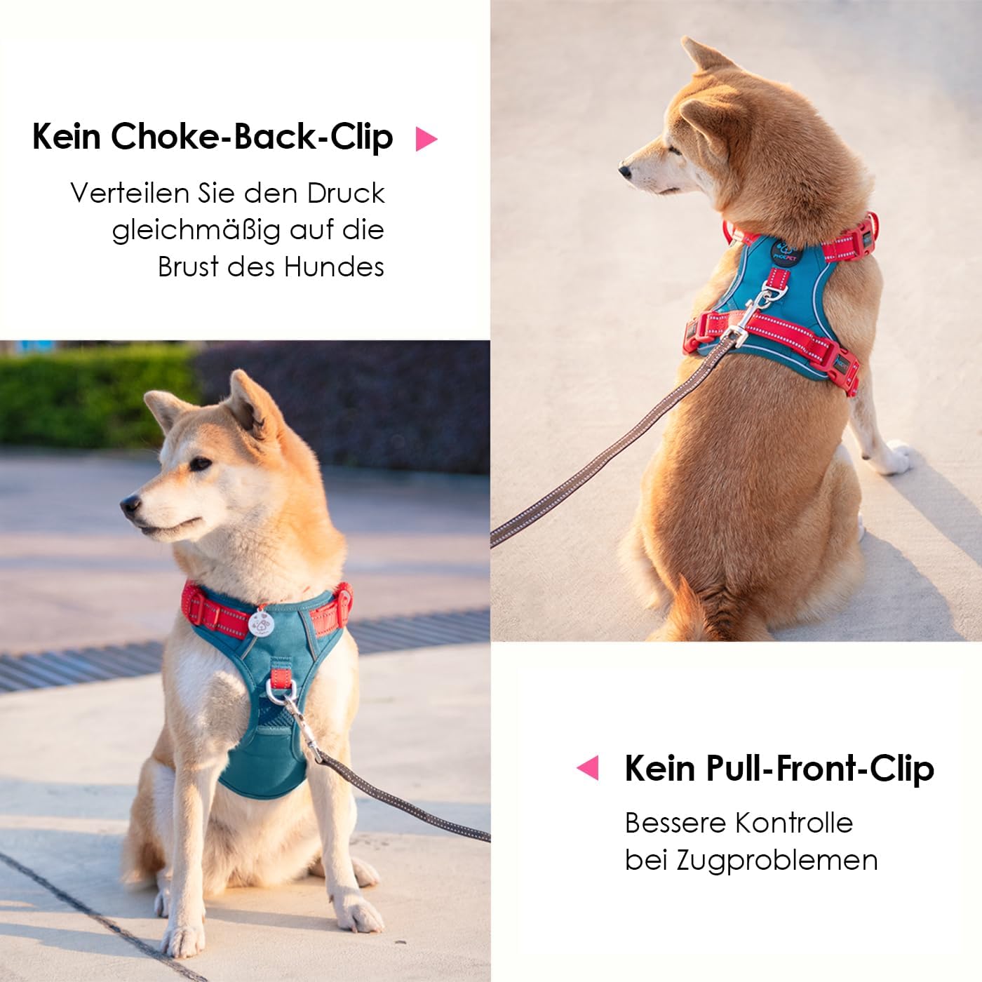 Detalle de PHOEPET Anti-Zug Hundegeschirr mit S