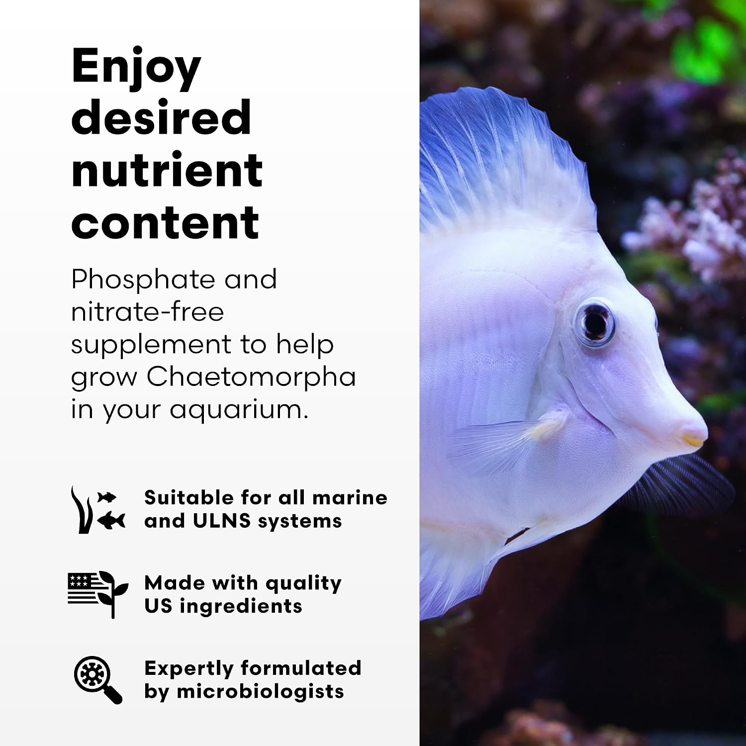 Thumbnail 2 de Brightwell Aquatics ChaetoGro カエトモルファ用液体栄養剤 13元素配合・硝酸塩／リン酸塩不含