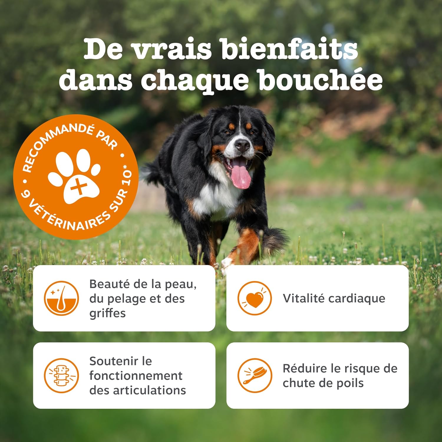 Detalle de Zesty Paws Santé Peau et Pelage pour Chiens – Bouchées gourmandes à l’huile de poisson (90 unités)