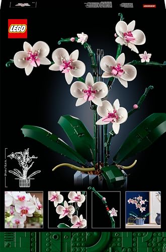 Thumbnail 8 de LEGO Botanicals L’Orchidée — Plante décorative LEGO pour adultes (réf. 10311)
