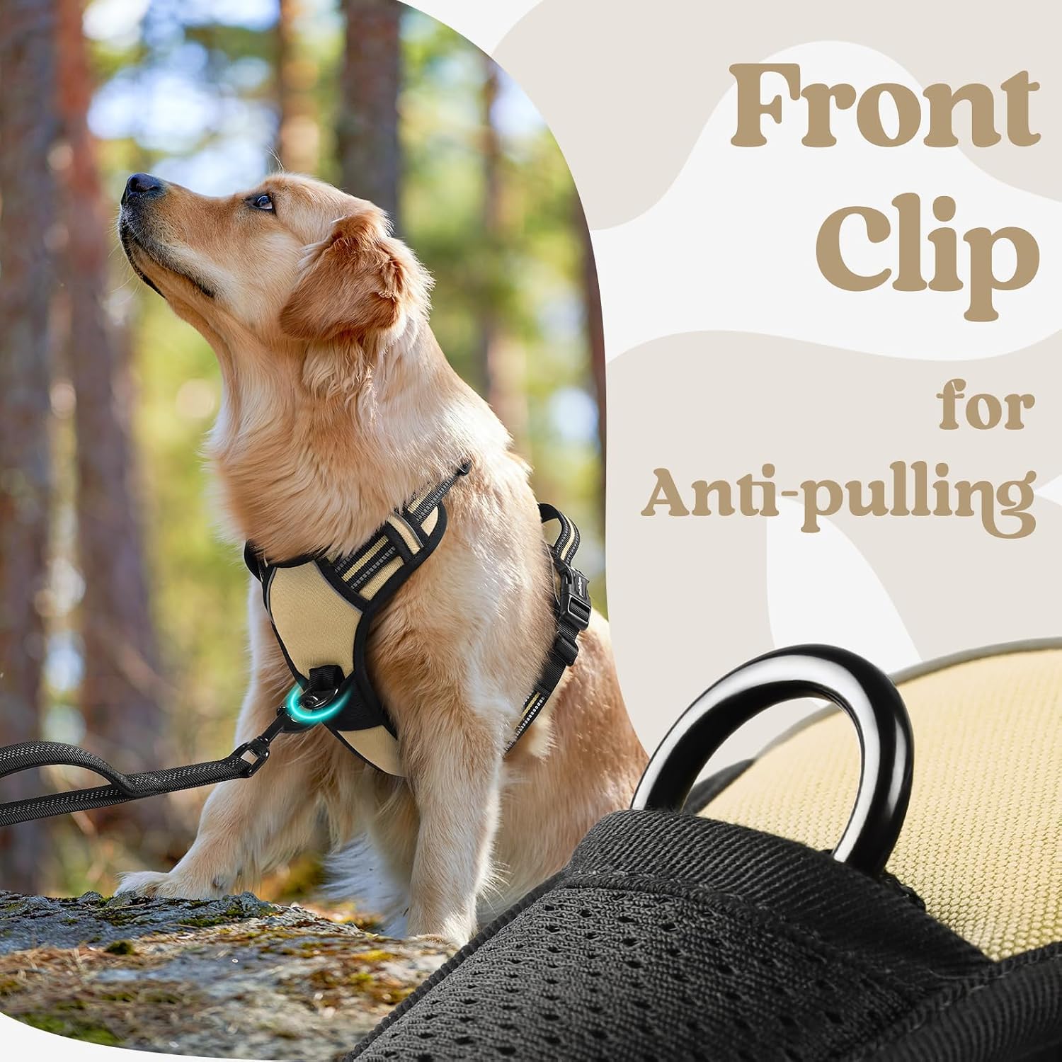 Thumbnail 6 de rabbitgoo Dog Harness for Large (XL) — No-Pull Adjustable Soft Padded Vest with 3 Buckles, Reflective Strips & Control Handle