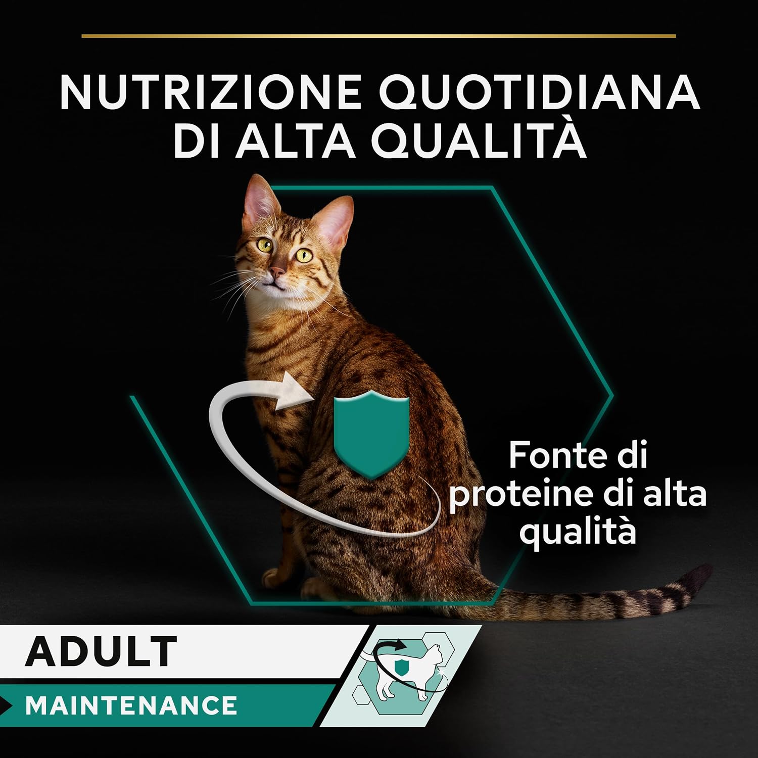 Detalle de Purina Pro Plan Sterilised Maintenance Cibo Umido per Gatti Sterilizzati – Patè Salmone e Tonno, 24 Lattine da 85 g