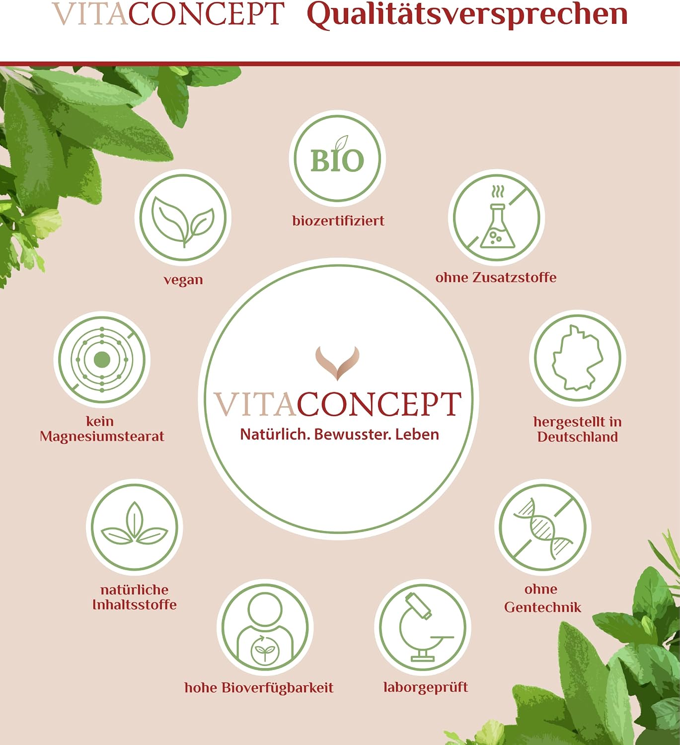 Thumbnail 4 de Vitaconcept Johanniskraut 5000 mg Kapseln