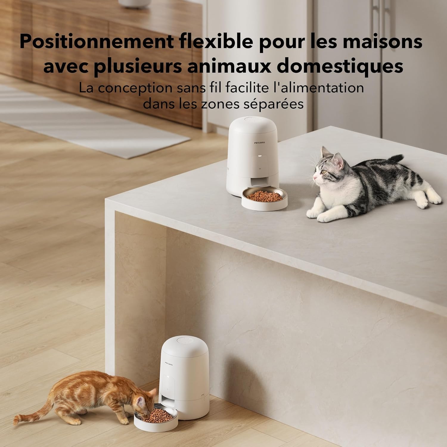 Thumbnail 4 de PETLIBRO Distributeur de croquettes automatique pour chat 2,4G WiFi rechargeable – 2 L