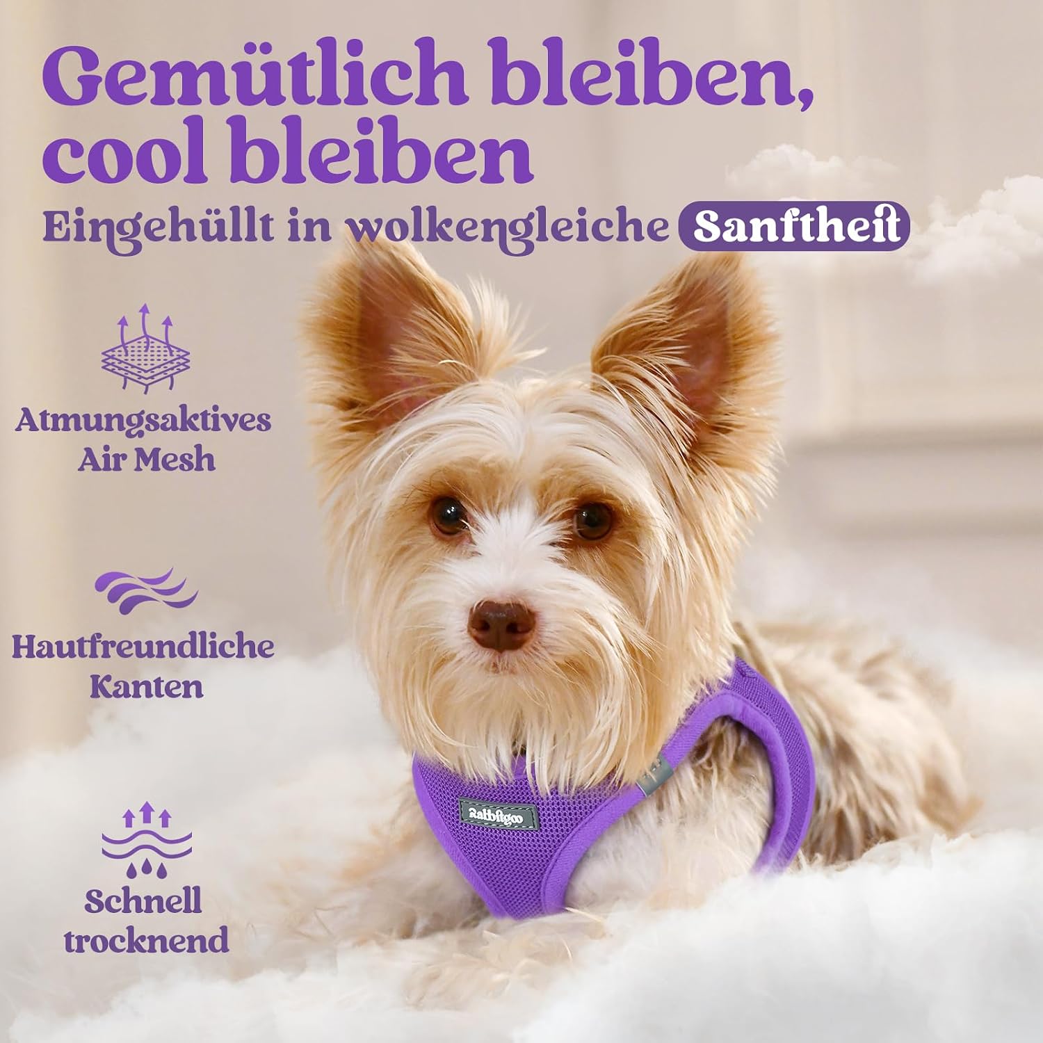 Detalle de rabbitgoo Hundegeschirr Kleine Hunde XS – Schritt-in Mesh-Geschirr mit Reflektivität (Lila)