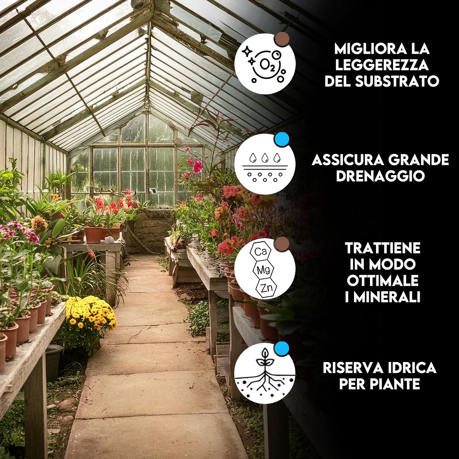 Thumbnail 1 de ZOMA Fibra di cocco per piante di qualità superiore – Terriccio universale 13 Kg per coltivazione idroponica