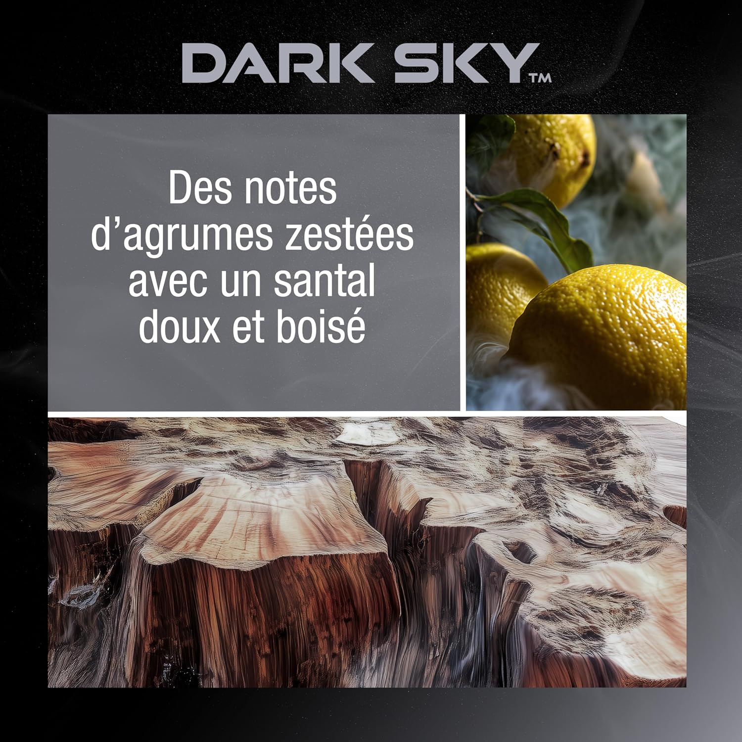 Detalle 2 de DRVN Désodorisant Voiture Disque Parfum Suspendu Dark Sky