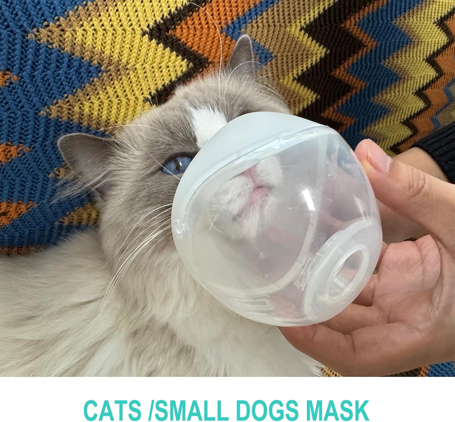 Thumbnail 1 de Pet Matching Cup and Face Mask Set, Green