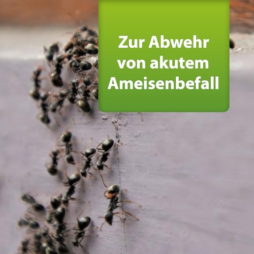 Detalle de ARDAP Repell Ameisenmittel 500g – Ameisenpulver mit Sofort- & Nestwirkung