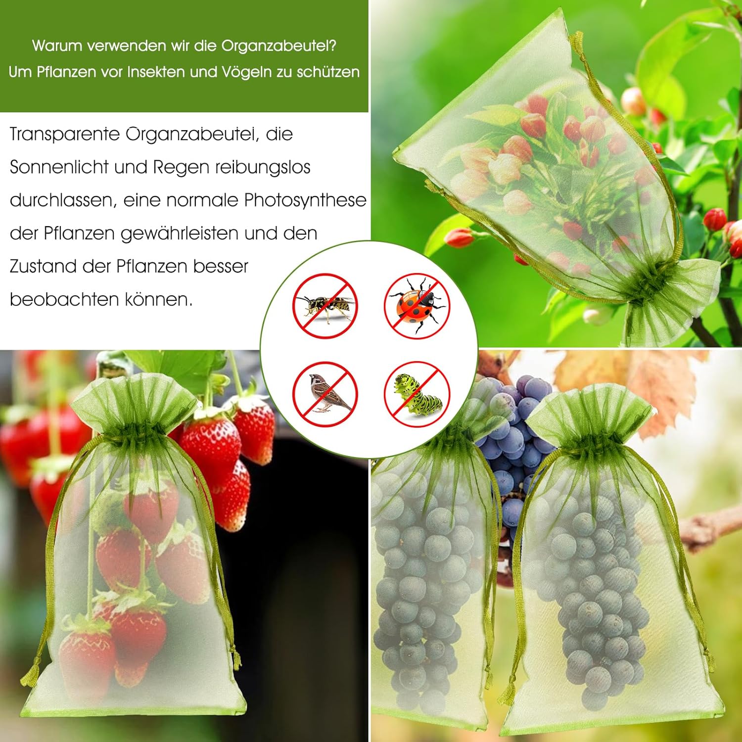 Thumbnail 3 de jijAcraft Organzasäckchen Groß Gras-Grün 17 × 23 cm, 50 Stück – Sammel-/Geschenkbeutel aus Organza mit Satin-Kordelzug