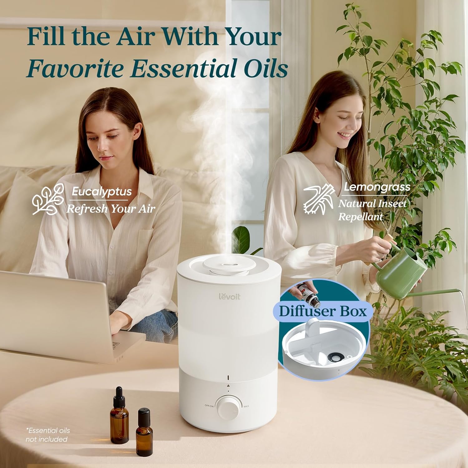 Thumbnail 3 de LEVOIT 3L Quiet Cool Mist Humidifier 💧
