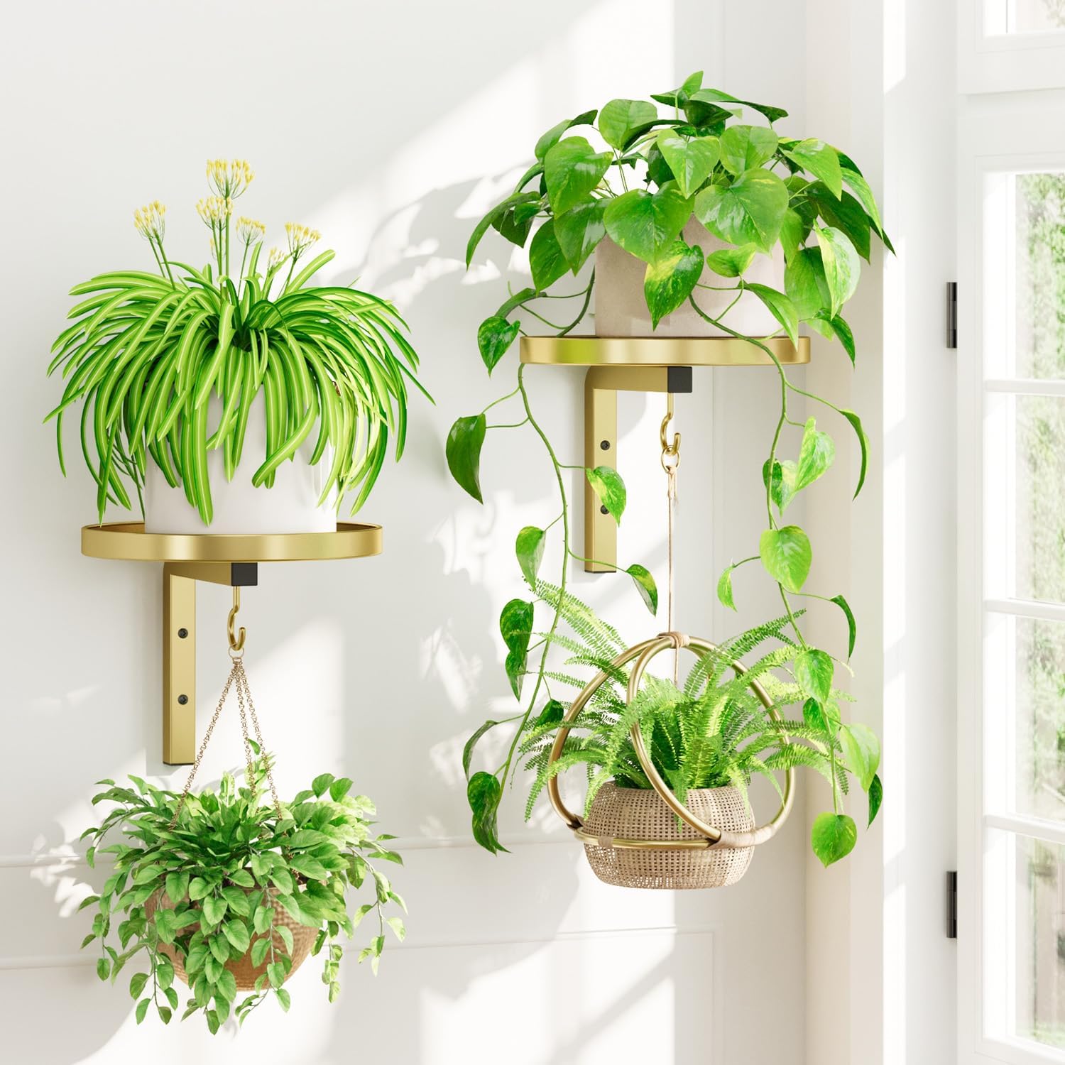 Detalle de iDavosic.ly Metal Plant Wall Hanger Set of 2, Gold, with Two Hooks
