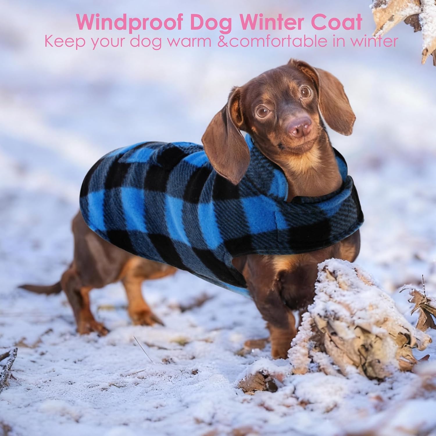 Detalle de AOFITEE Dog Coat XXL