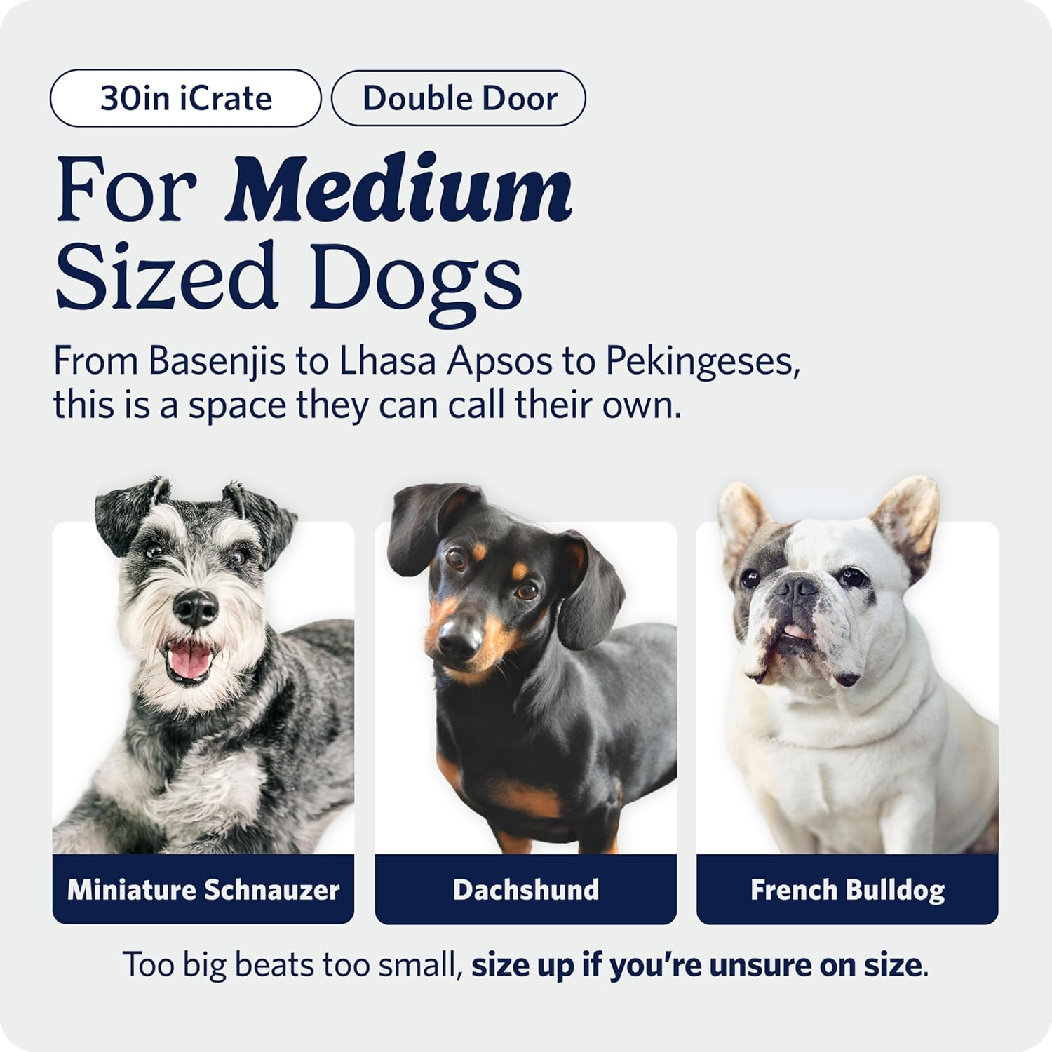 Detalle de MidWest iCrate Dog Crate 30 x 19 x 21 inches