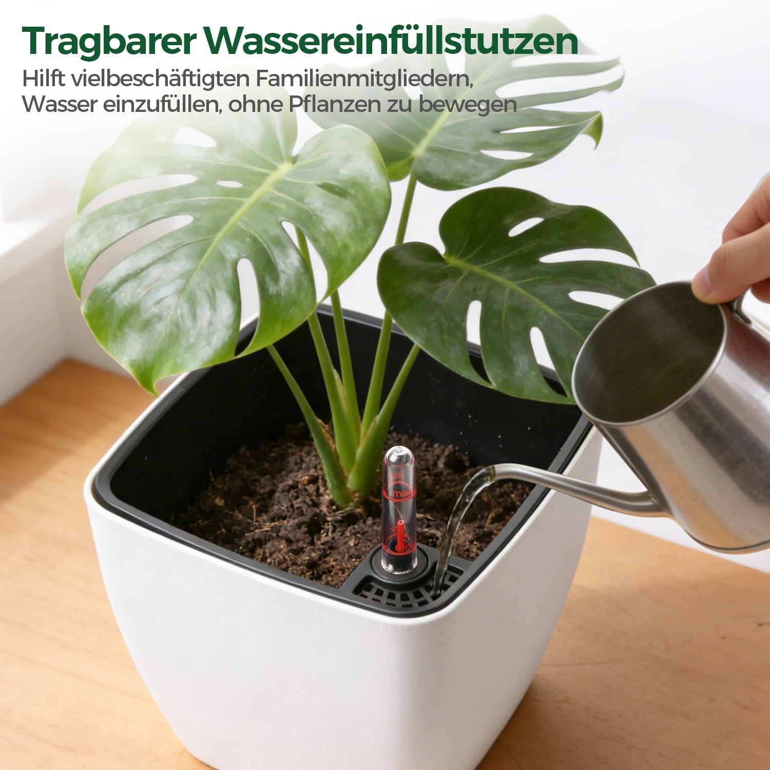 Detalle 2 de T4U Eckige Selbstbewässerungstöpfe 17,5 cm