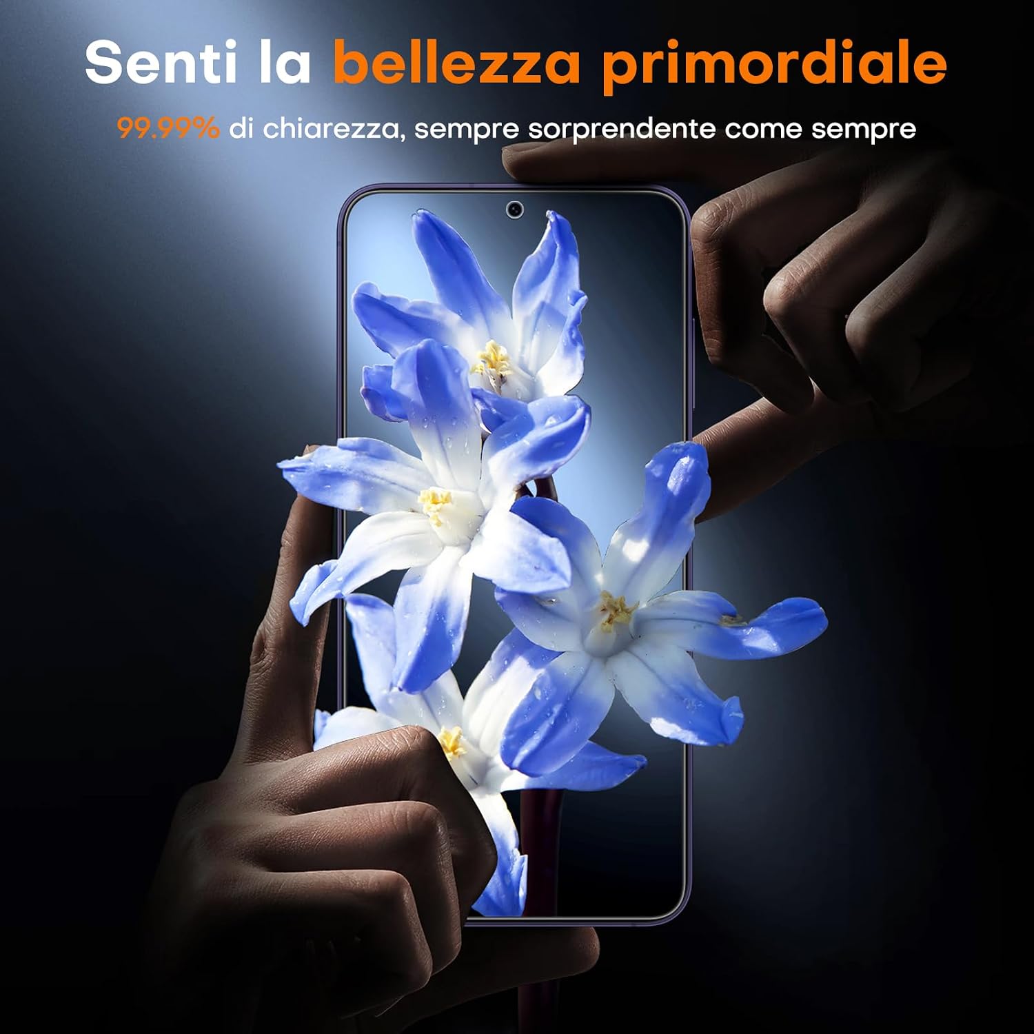 Detalle de Pellicola TOCOL 9H per Galaxy S24 Plus