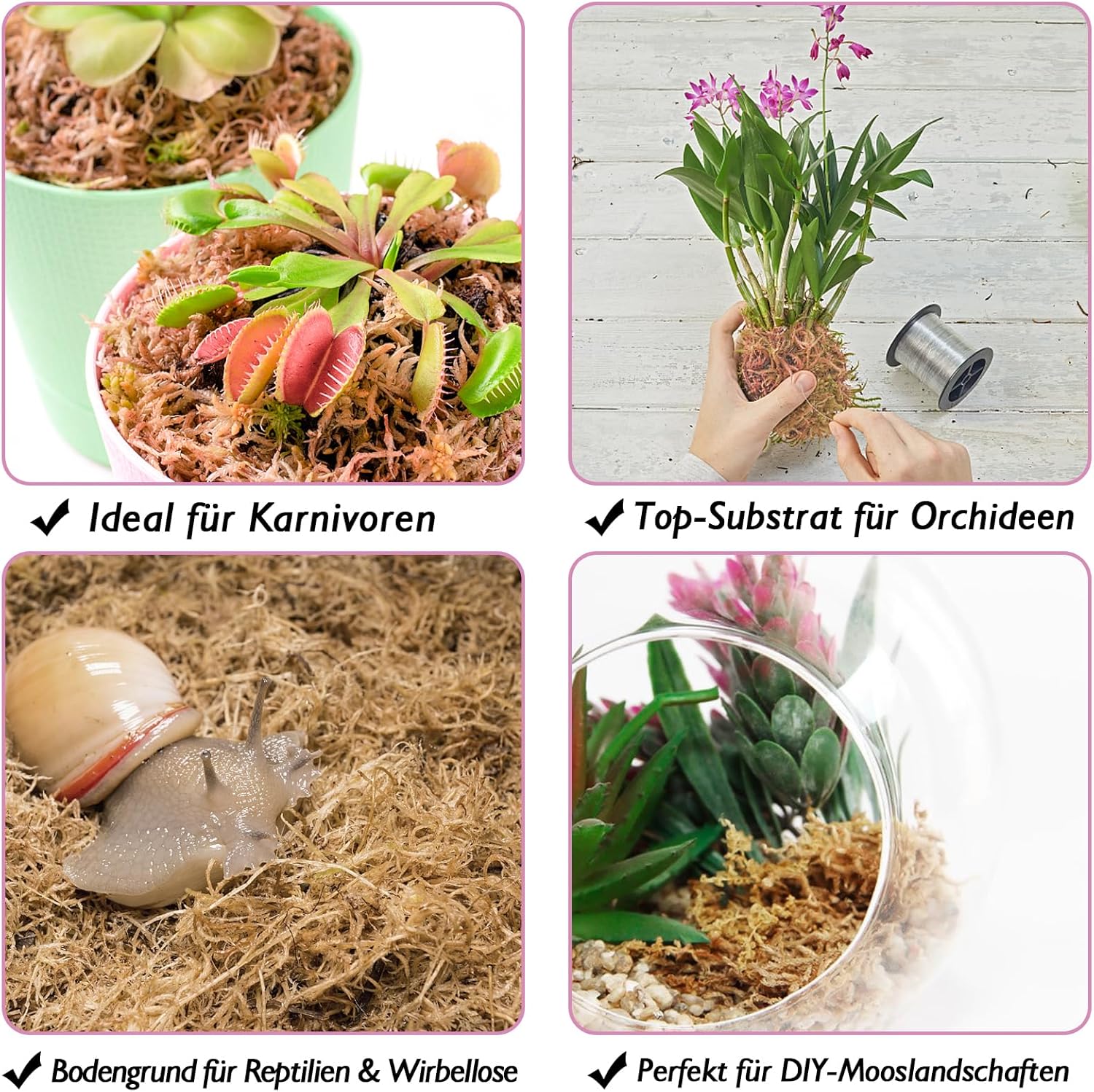 Thumbnail 6 de Halatoo Sphagnum Moos 170 g für Orchideen und Pflanzen