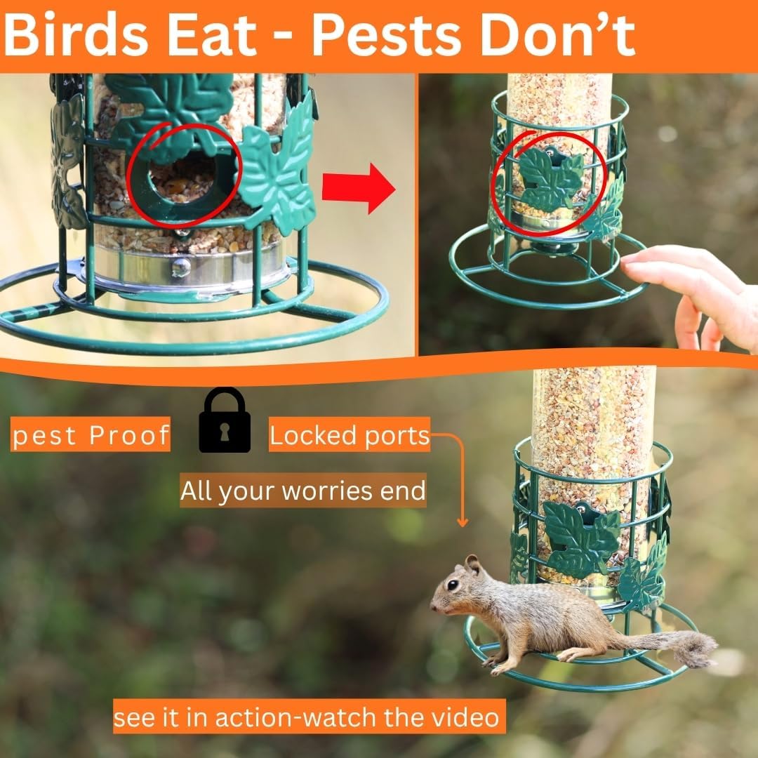 Detalle de Squirrel proof bird feeders | STOPS-RAT, PIGEON, SQUIRREL by PROVIDE