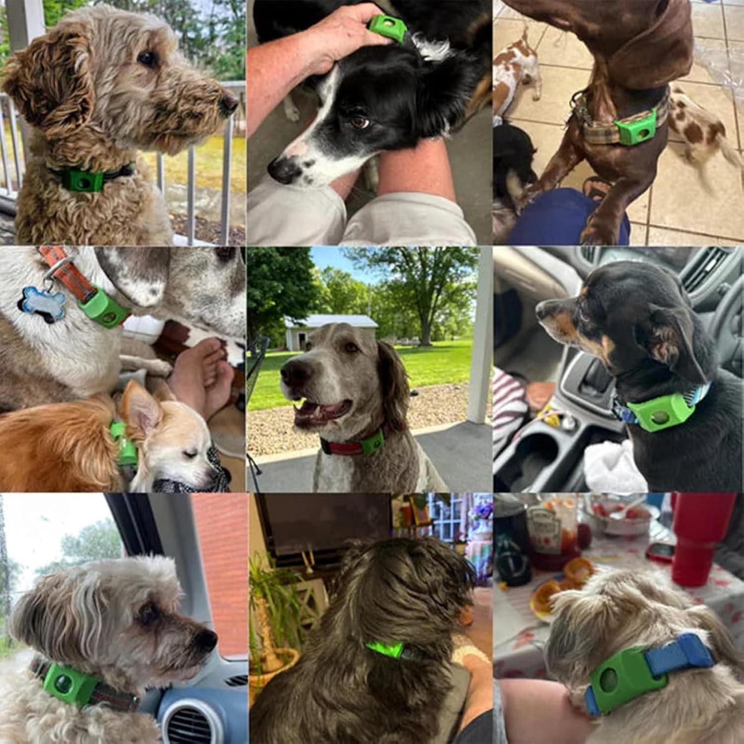 Thumbnail 6 de Natürliches Floh- und Zeckenhalsband für Hunde (2er-Set) mit Repellent-Hänger – 100% natürliche Inhaltsstoffe
