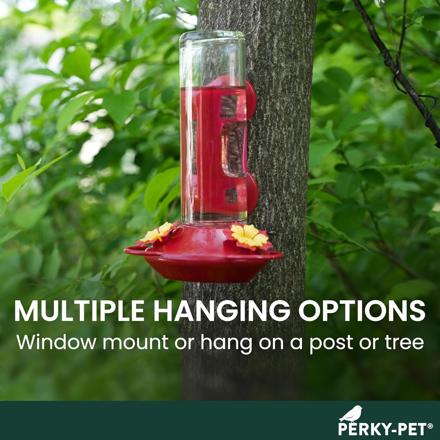 Detalle 1 de Perky-Pet 455-2 Window-Mounted Glass Hummingbird Feeder, Red, 14 oz