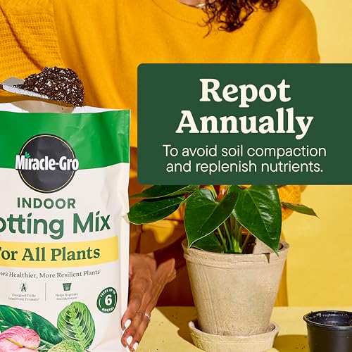 Thumbnail 7 de Miracle-Gro Indoor Plant Grow, Feed & Protect Bundle