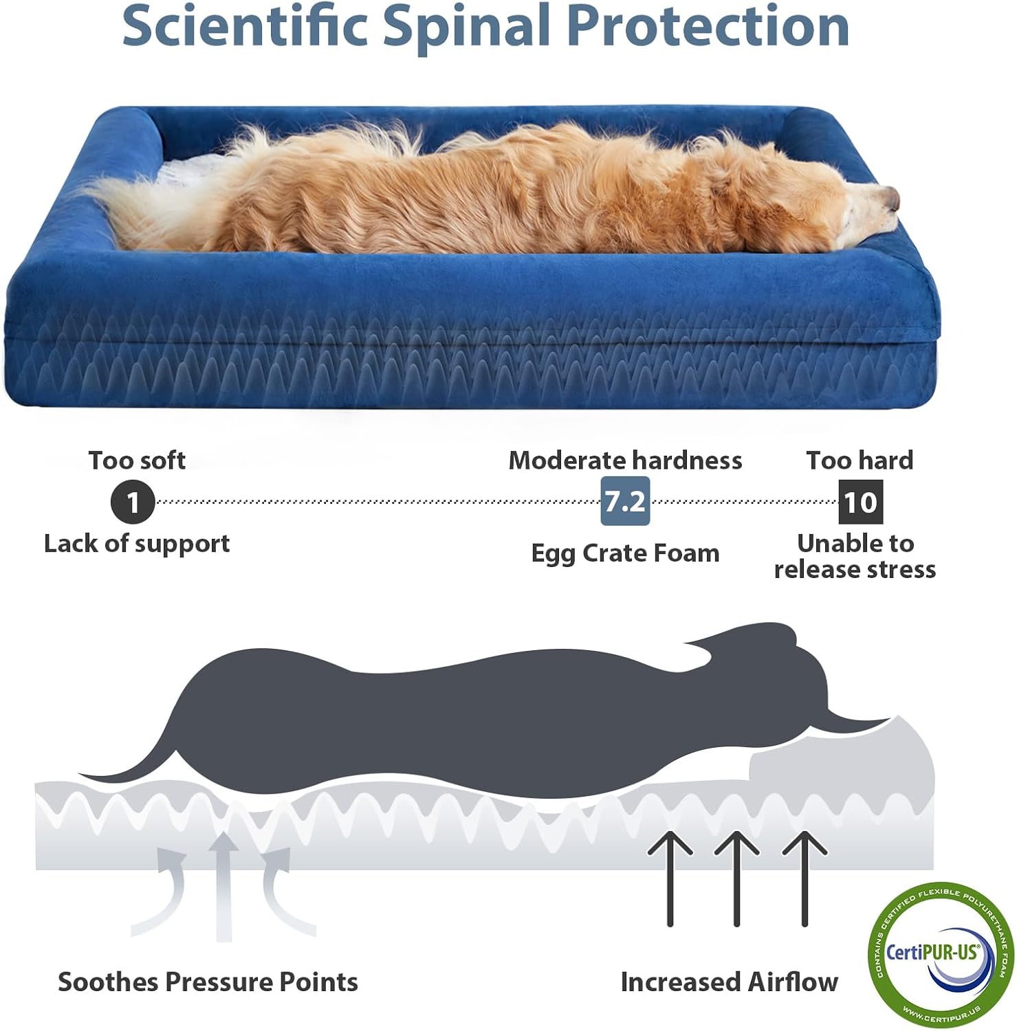 Detalle de WNPETHOME XXL Orthopedic Dog Bed, Memory Foam, Bolster Sides, Blue, 45 x 35 in