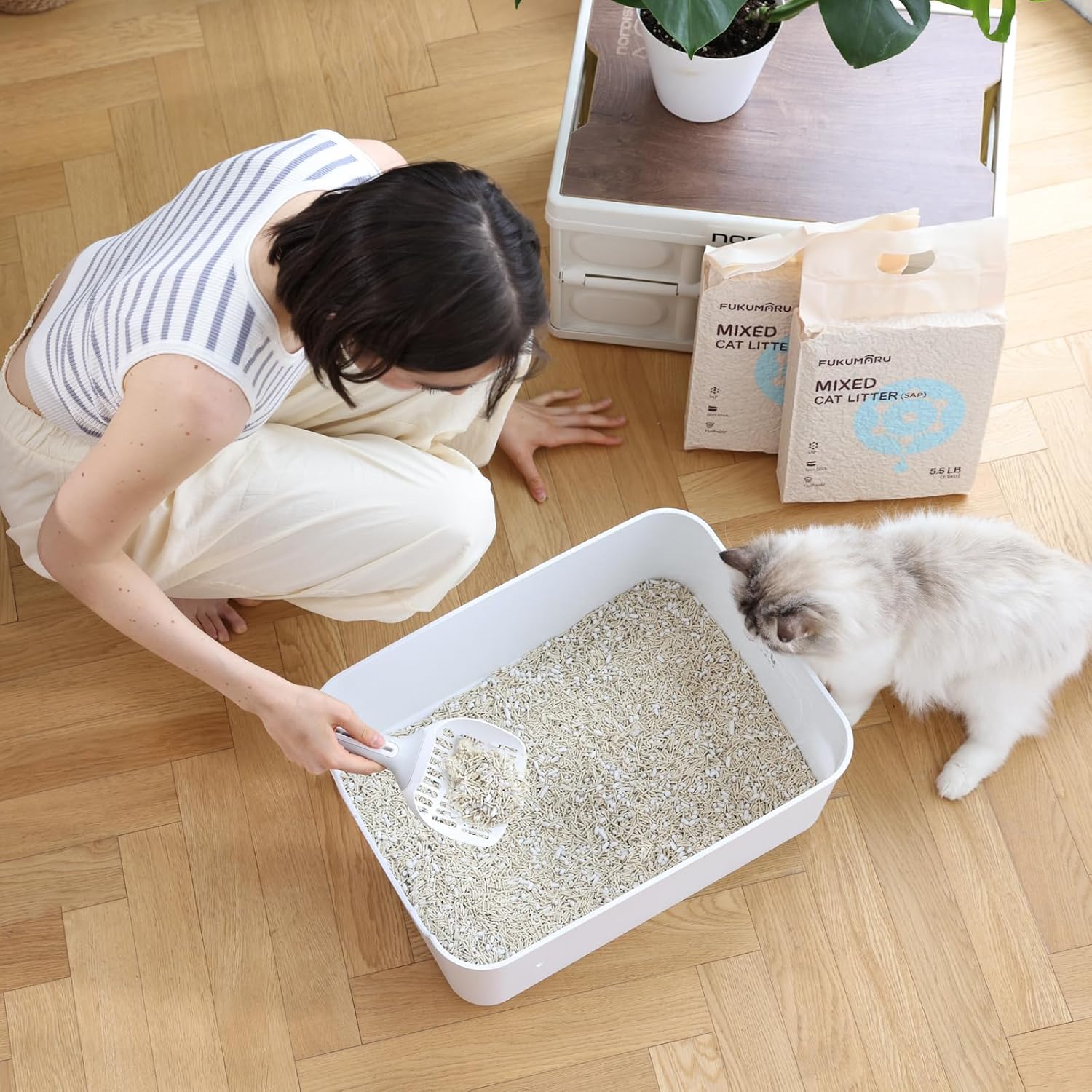 Thumbnail 6 de FUKUMARU Arena de Tofu 10.8 kg