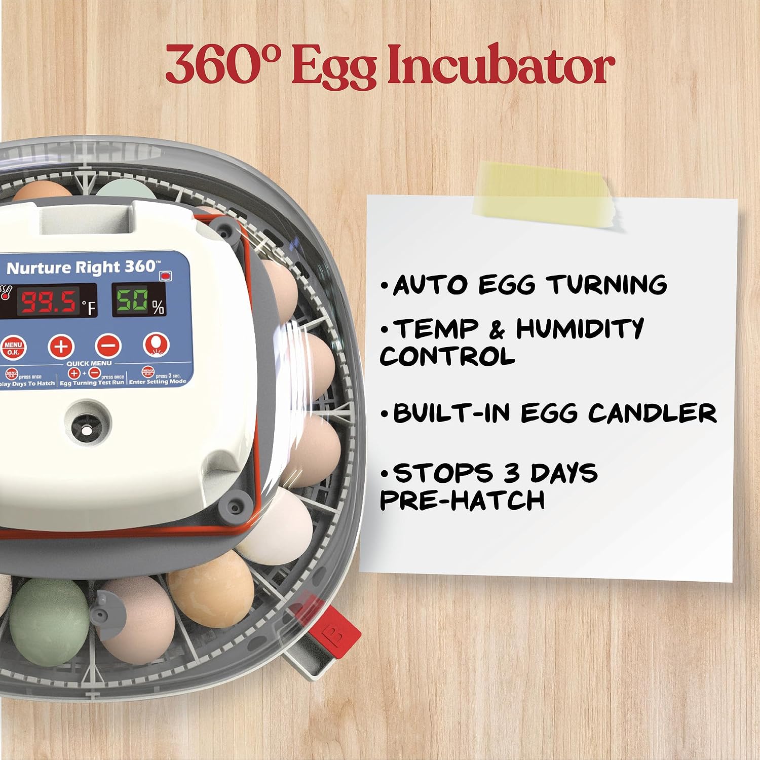 Detalle 2 de Harris Farms Egg Incubator 22-Egg Capacity