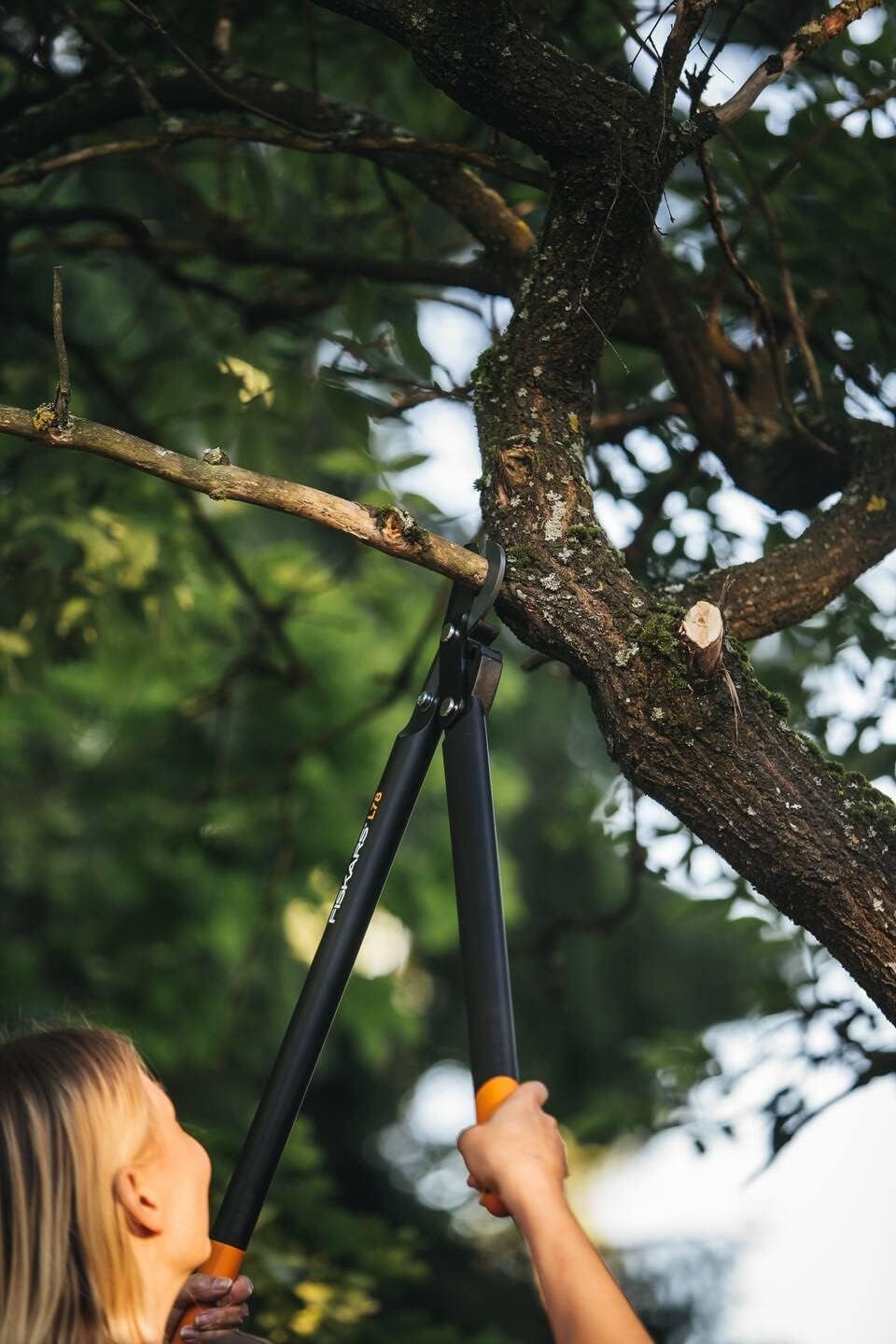 Thumbnail 5 de Fiskars PowerGear II Bypass-Getriebeastschere L78 – 70 cm, Antihaftbeschichtet, rostdichter Präzisionsstahl