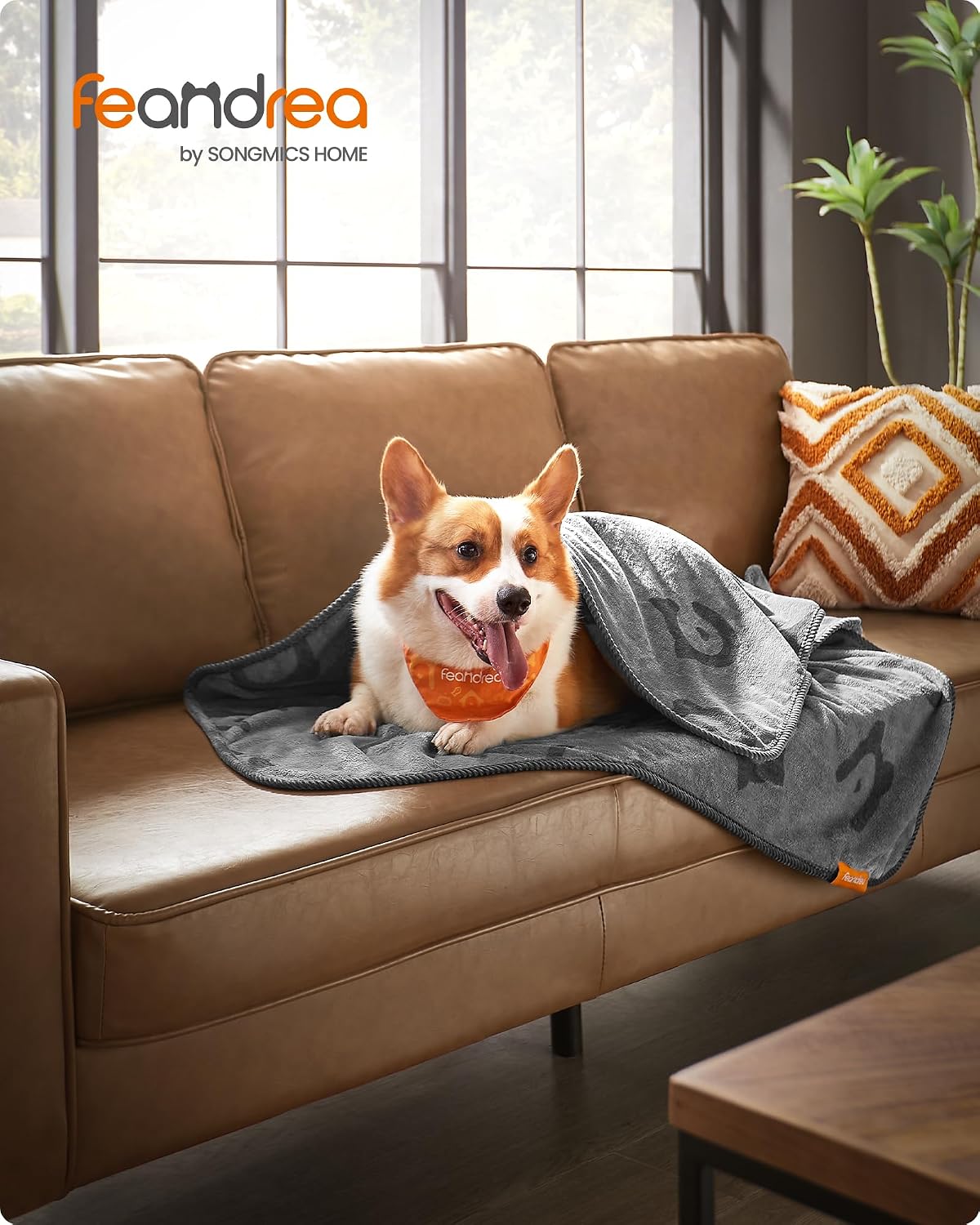 Detalle 2 de Feandrea Hundedecke 3er Set L 127x102