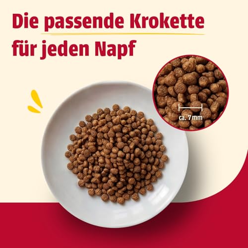 Detalle de animonda Carny Kitten Huhn (1,75 kg) – Trockenfutter für wachsende Katzenkätzchen ohne Getreide