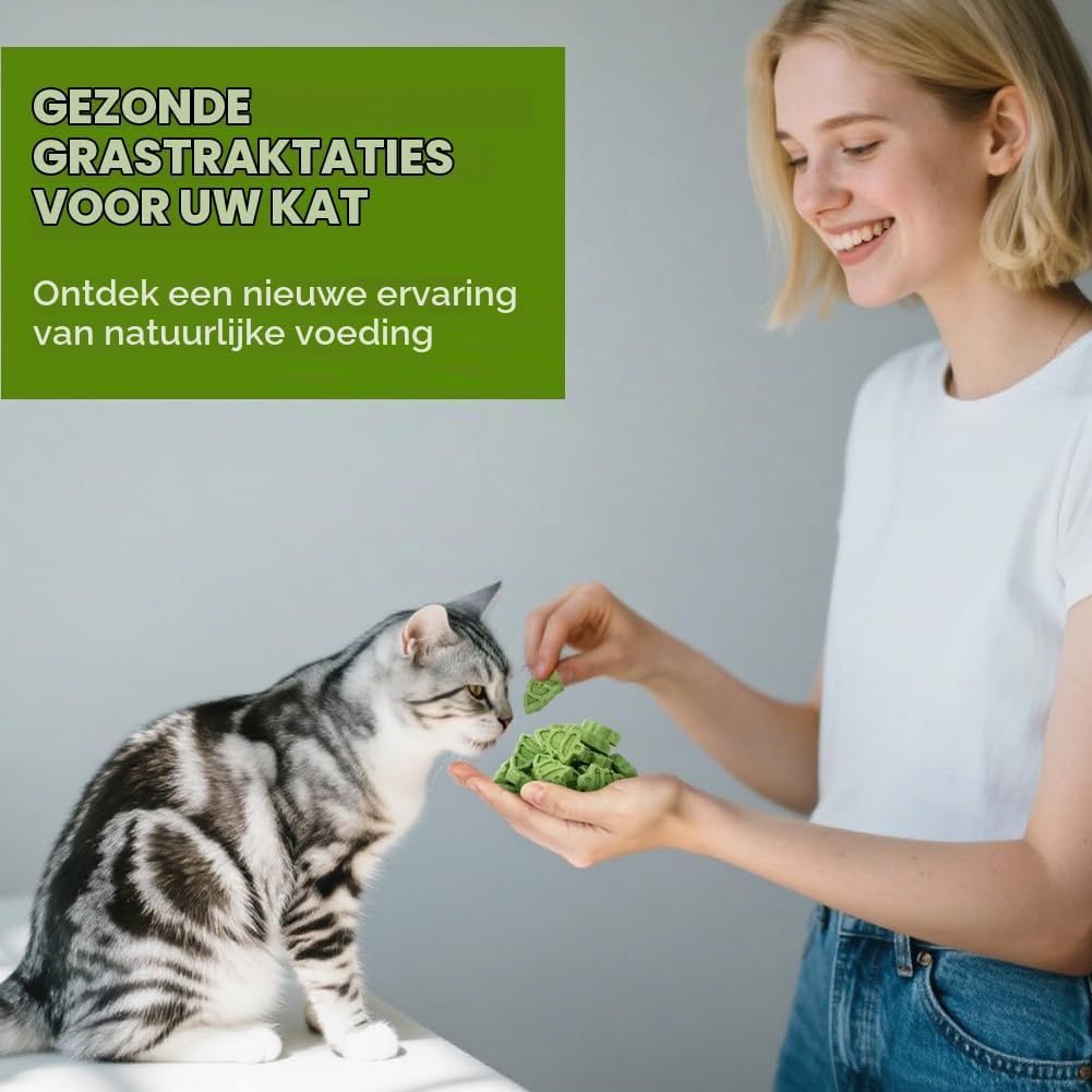 Detalle 1 de OSDUE 5580190 kattensnack met kattengras, gevriesdroogd met kip en eigeel