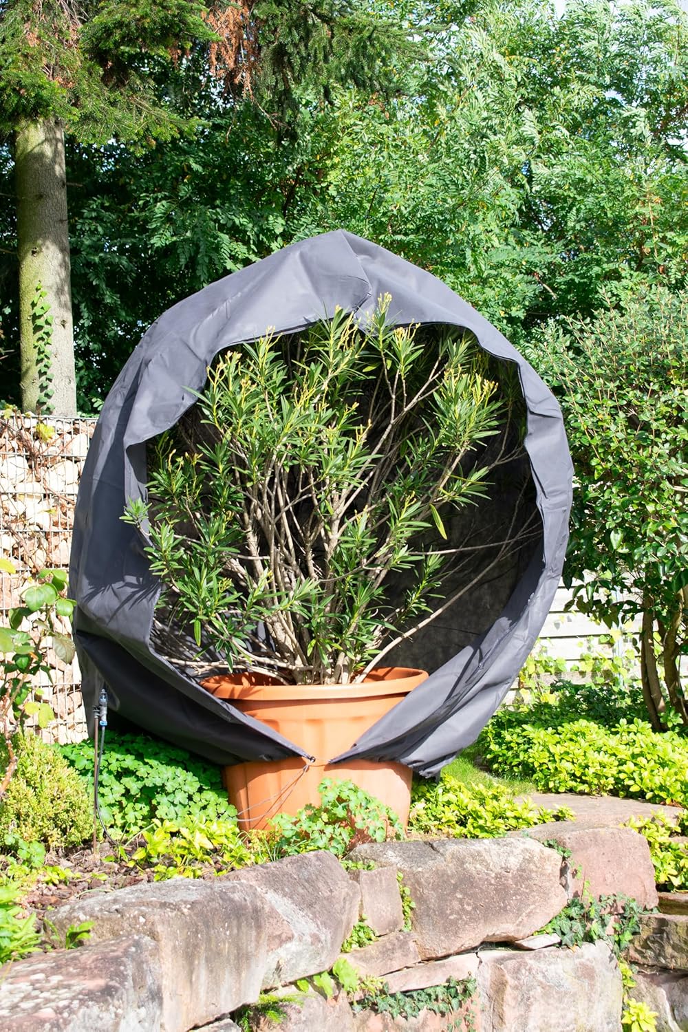 Thumbnail 2 de schlauchmeister 24 … wir leiten's durch … Premium XXL Winterschutz für Kübelpflanzen grau 240 × 300 cm