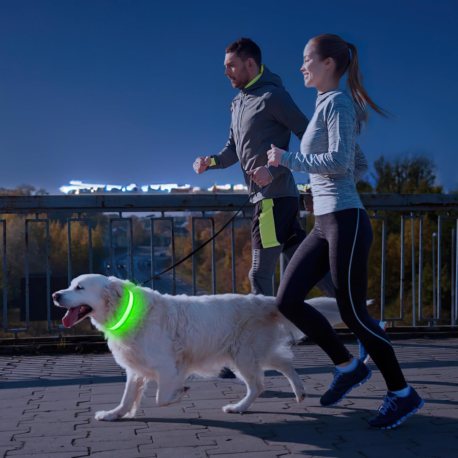 Thumbnail 6 de PcEoTllar Collare luminoso per cane LED ricaricabile 7 colori