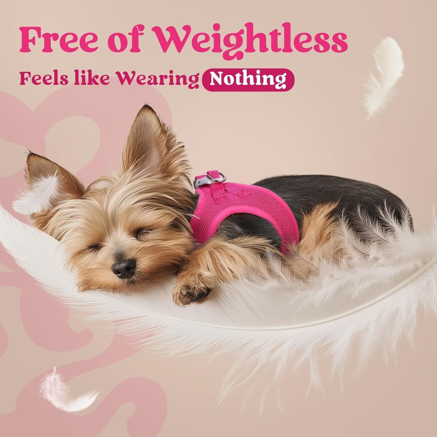 Thumbnail 3 de rabbitgoo Dog Harness Small Dog S