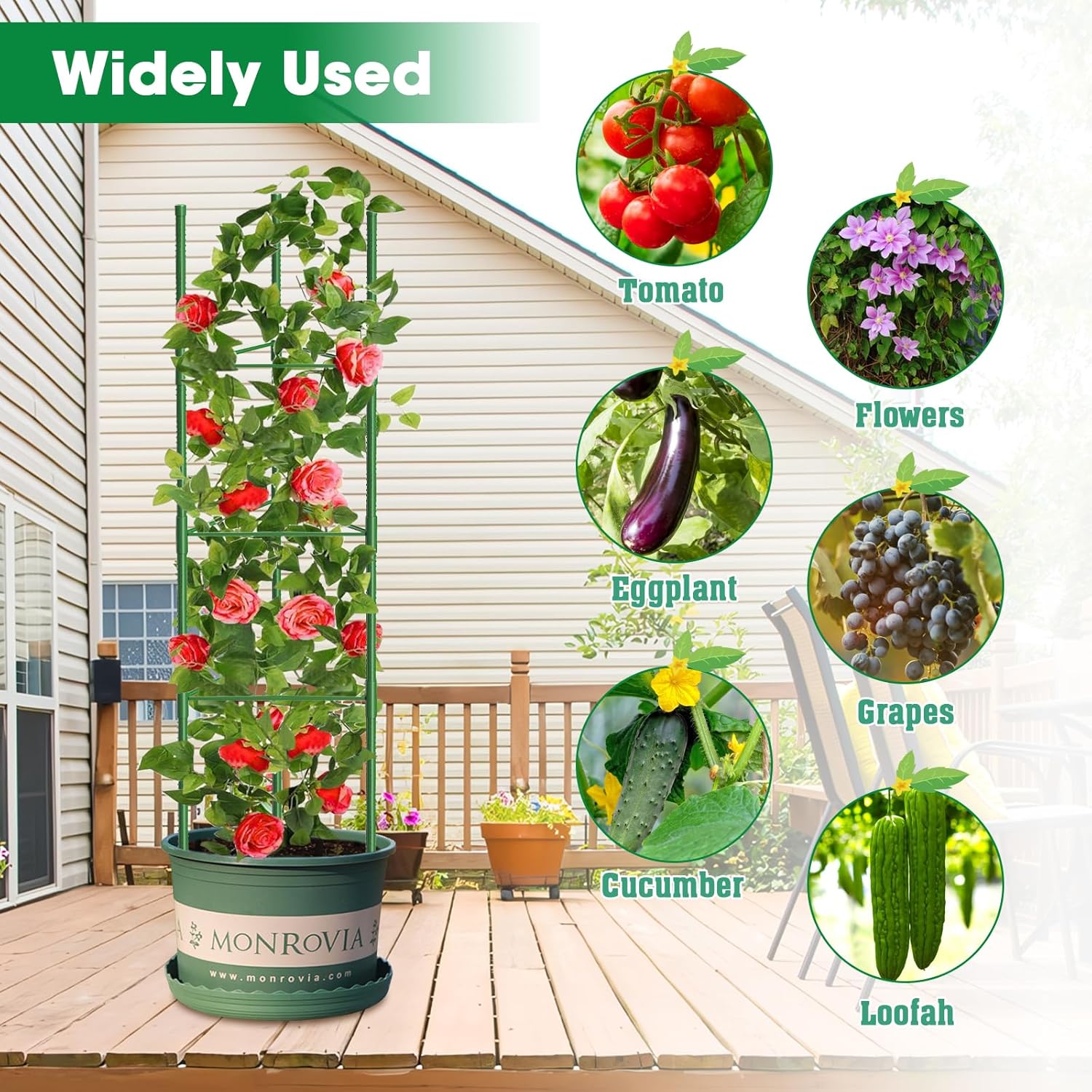 Thumbnail 5 de MQUPIN Tomato Cage and Plant Trellis – 130cm Adjustable Support Stand (3 Packs)