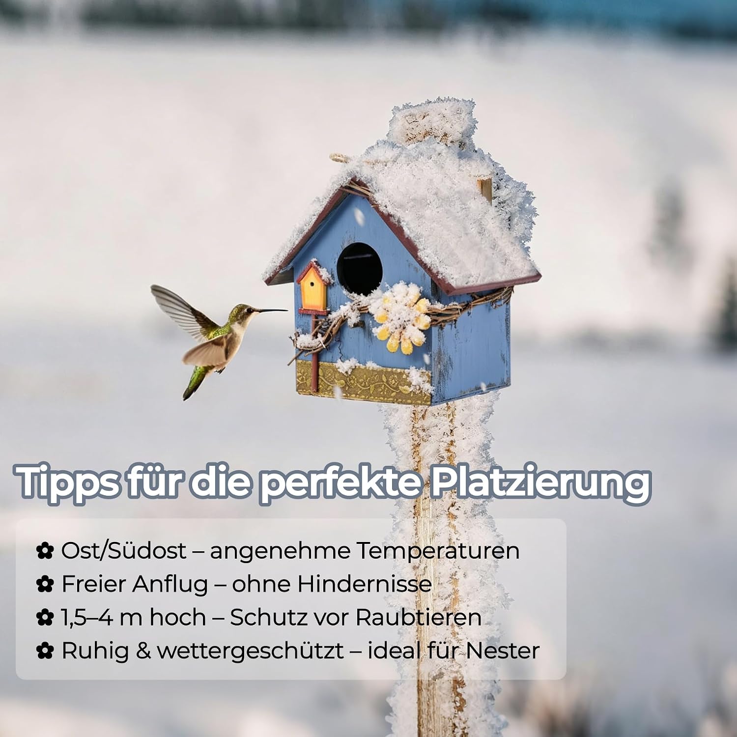 Thumbnail 6 de JUJOYBD Vogelhaus Nistkasten Meisen