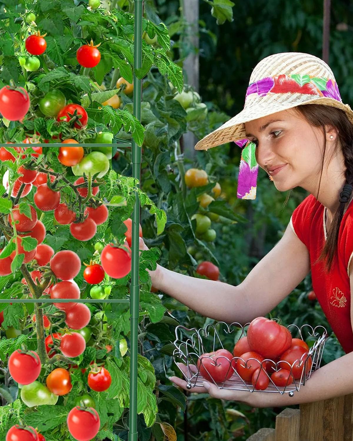 Thumbnail 5 de MYMULIKE 6Pack Tomato Supports 130cm