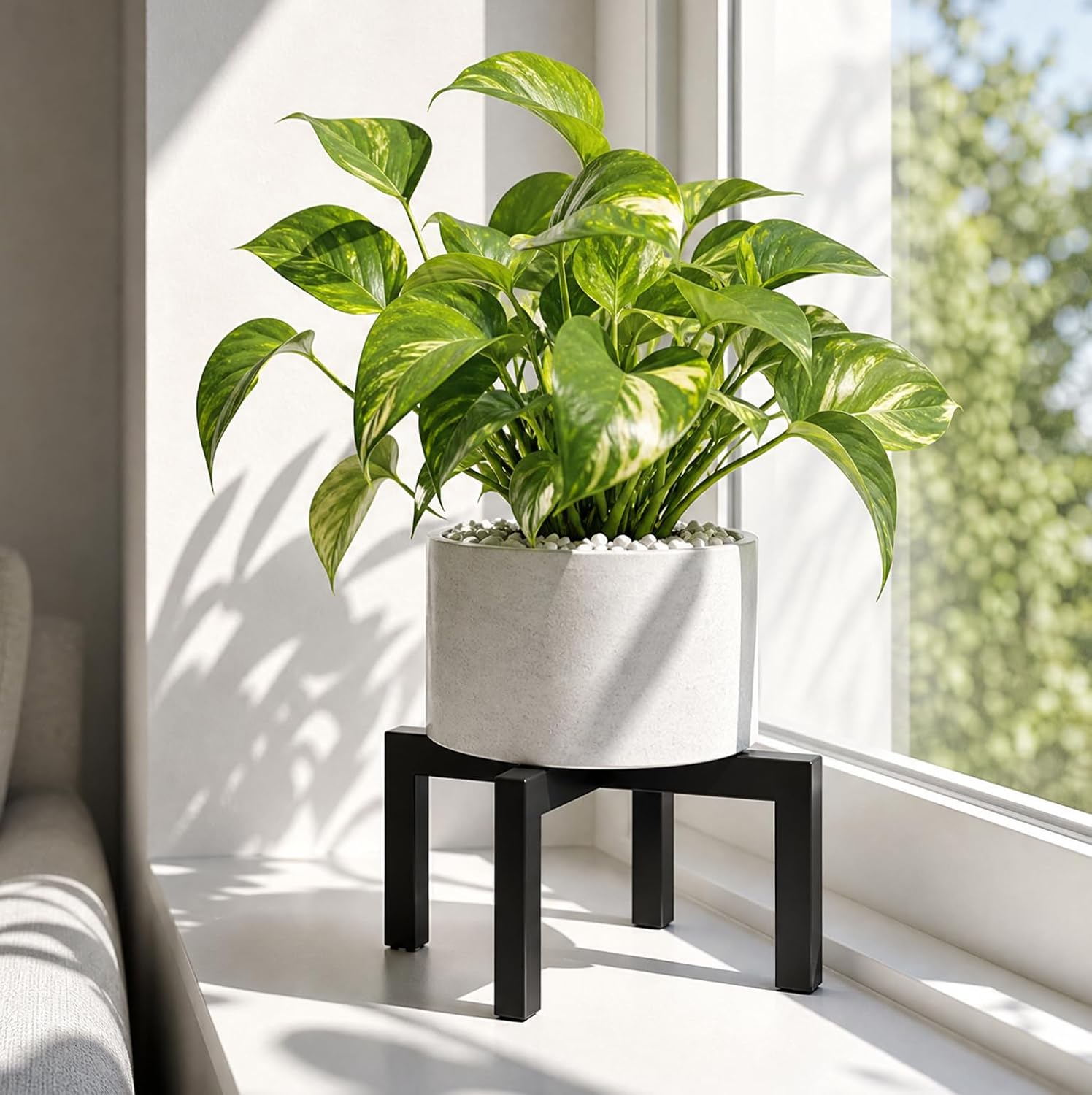 Thumbnail 5 de Pickpiff Plant Stand: Heavy-Duty Rack for 5–12 Inch Pots (Indoor/Outdoor)