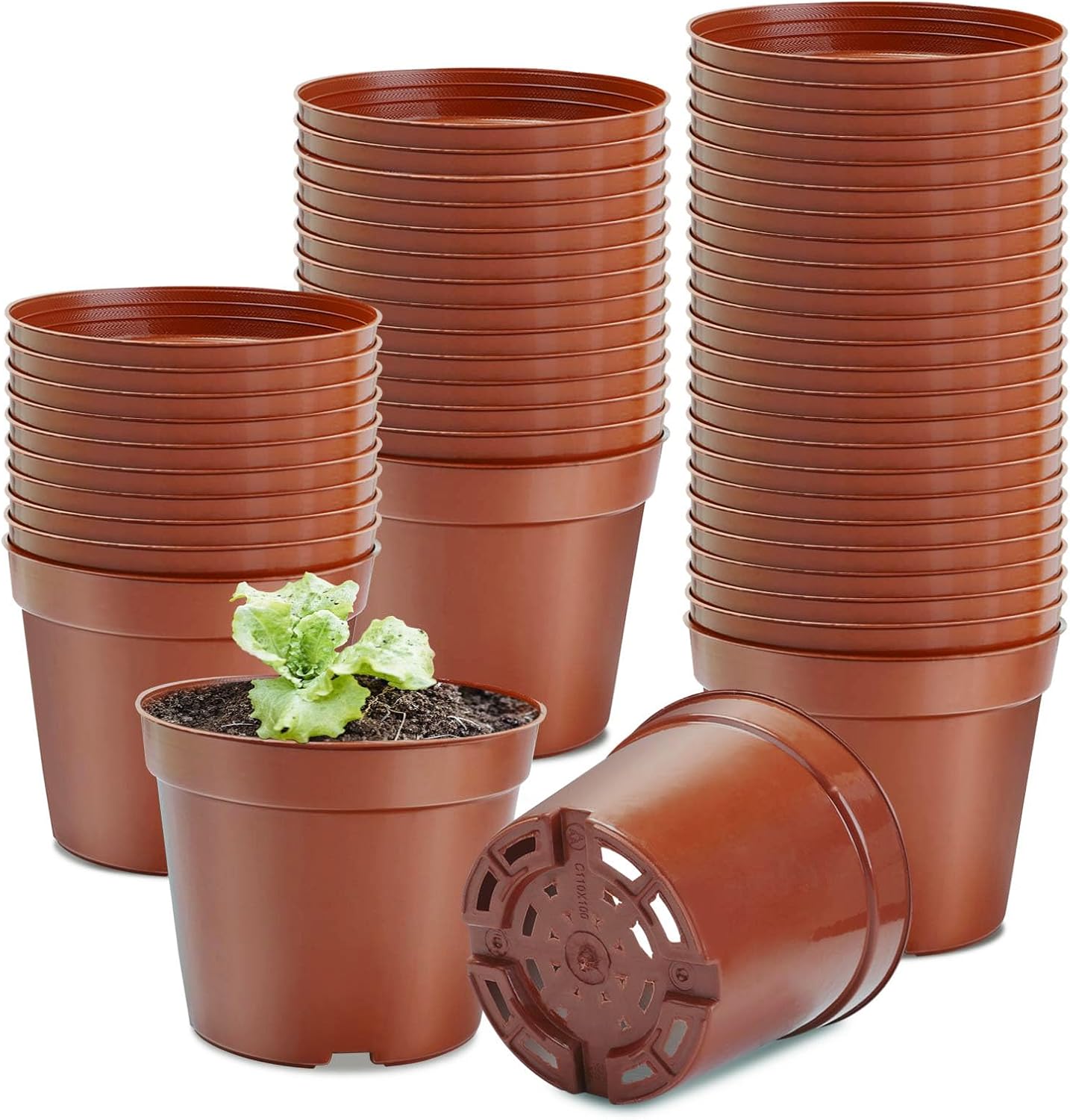 Detalle de Jordbrux nursery pots 8.5cm, 10 pack