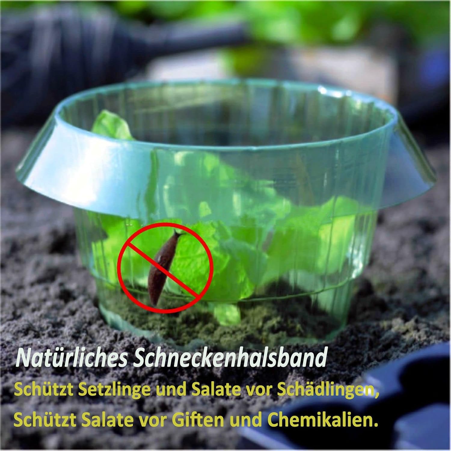 Thumbnail 6 de CYYMNA Lot de 12 collerettes anti-limaces : protection sans produits chimiques pour vos plantes