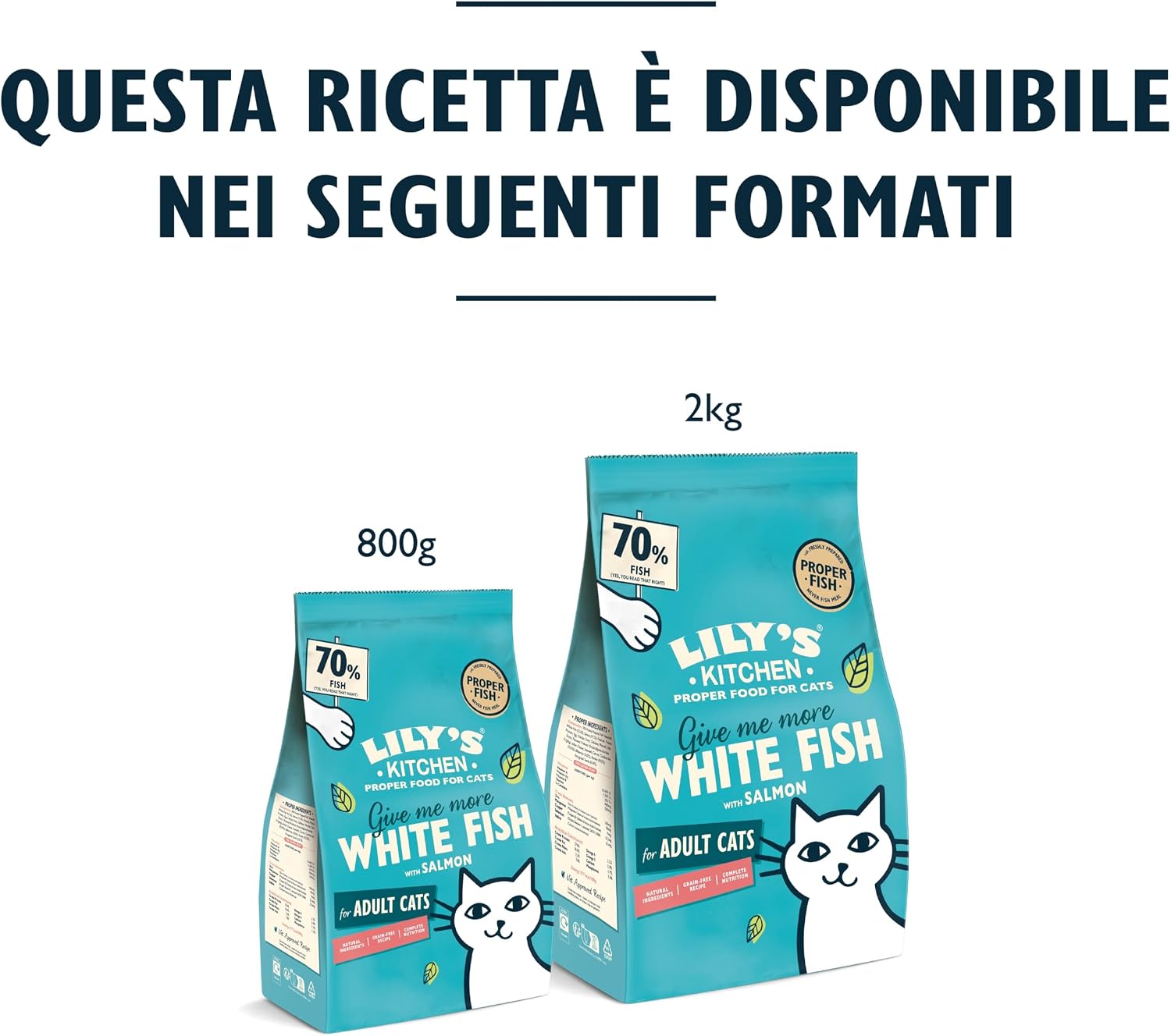 Detalle de Lily's Kitchen Con ingredienti naturali Cibo secco per gatti adulti senza cereali, pesce bianco e salmone, 2 kg