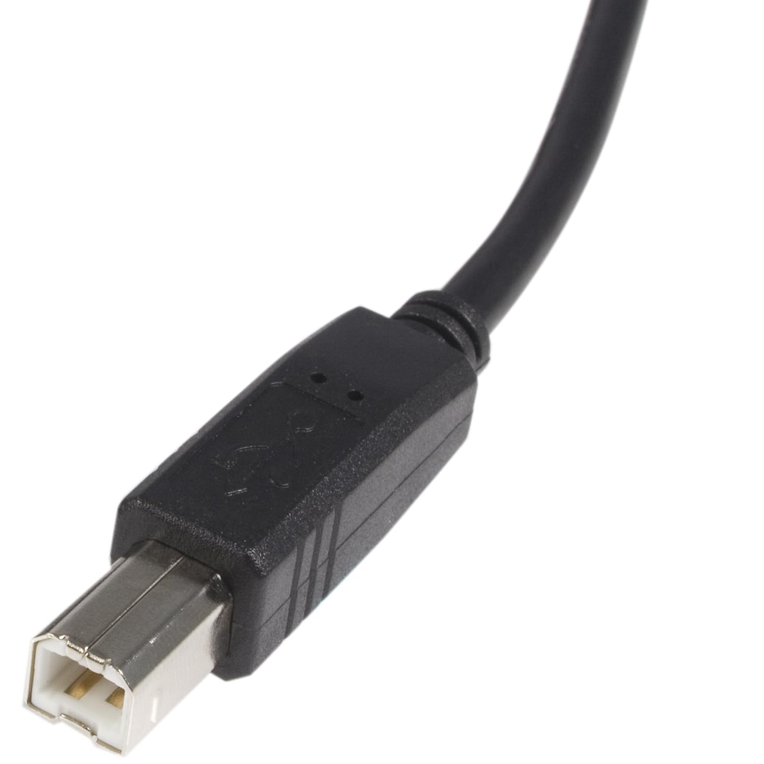 Thumbnail 2 de StarTech.com 6 ft USB 2.0 A to B Printer Cable (USB2HAB6) — Black